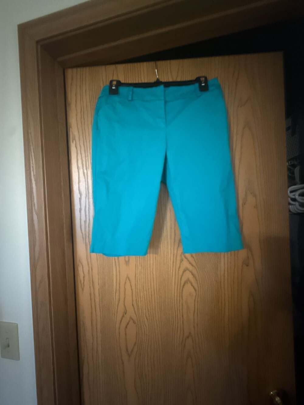 New York & Company 7th Avenue Suiting Collection Teal Shorts Size 2